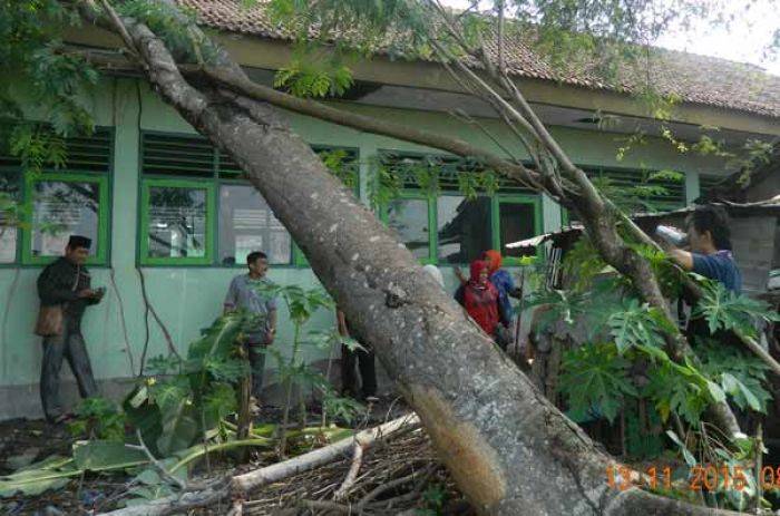 Puting Beliung Terjang Ngawi lagi, Satu Sekolah Rusak Tertimpa Pohon