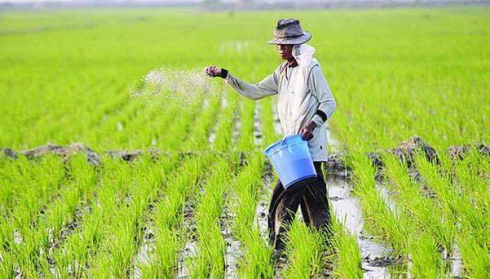 Petani Perlu Tahu Adanya Asuransi Pertanian