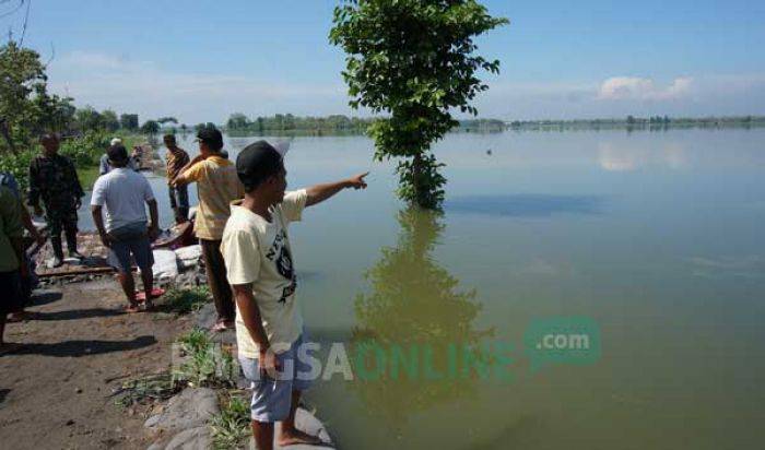 Jombang Banjir Lagi, 125 Hektare Sawah Terendam, Petani Rugi Rp 1,9 Miliar