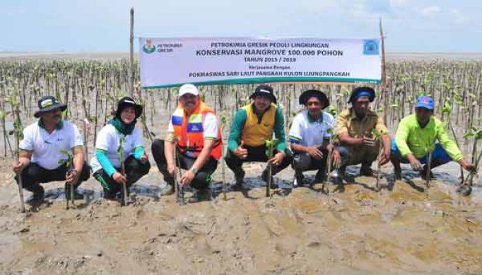 Bentengi Bibir Pantai, Petrokimia Gresik Tebar Ratusan Ribu Mangrove