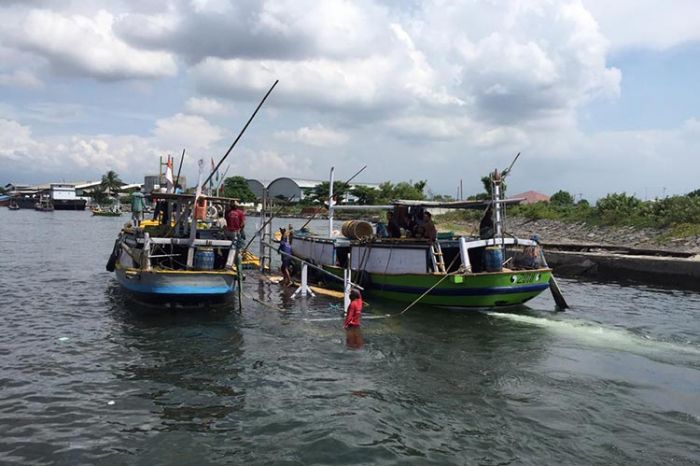 ​Kapal Bermuatan Ikan Tenggelam di Laut Probolinggo, 7 ABK Selamat