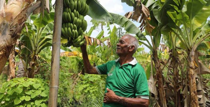 Jadi Kampung Reforma Agraria, Warga Baumata Kupang Nikmati Tambahan Penghasilan