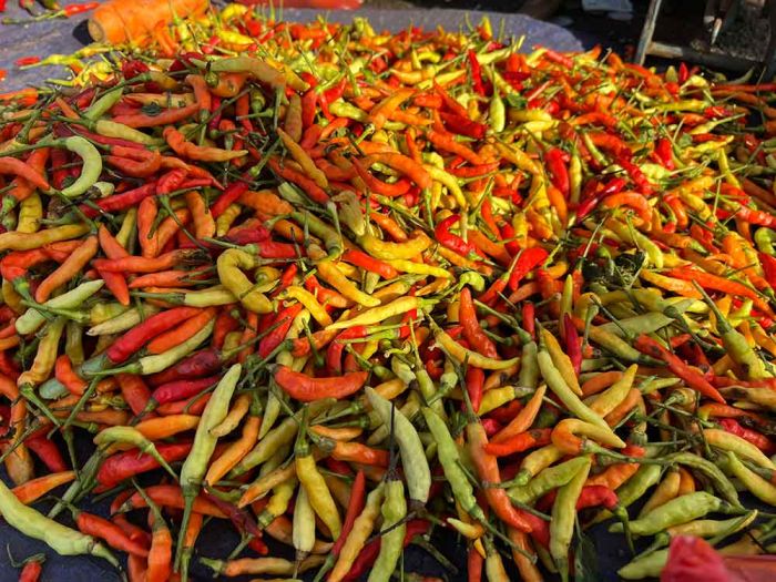 Update Harga Sembako Surabaya 17 Mei 2025, Cabai Rawit Rp24 Ribu per Kilo Update Harga Sembako Surabaya 17 Mei 2025, Cabai Rawit Rp24 Ribu per Kilo