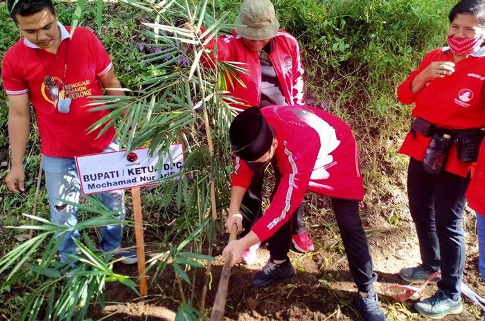 Aksi Tanam Pohon Bambu Warnai Musancab Serentak PDIP Trenggalek
