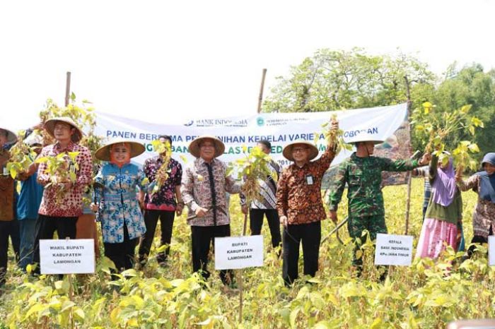 Lamongan Mulai Produksi Benih Kedelai