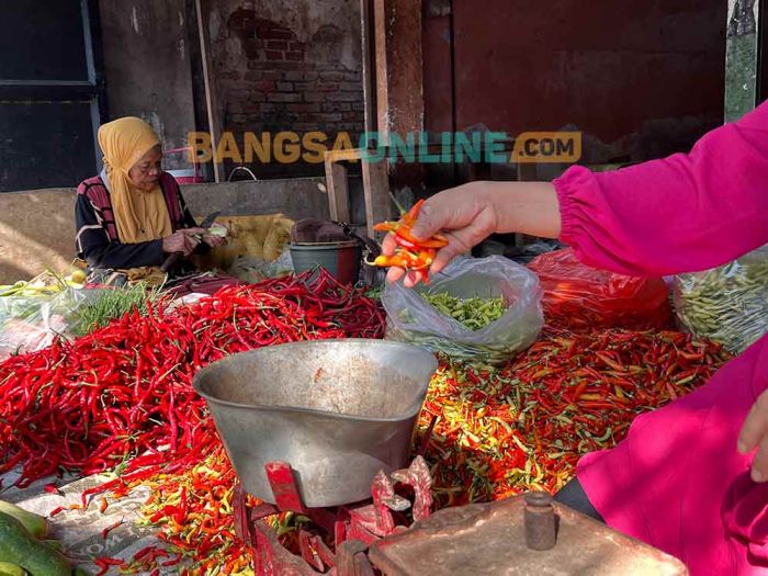 Harga Cabai Rawit di Kota Batu Hari Ini Turun, Simak Update Sembako Selengkapnya Berikut Ini