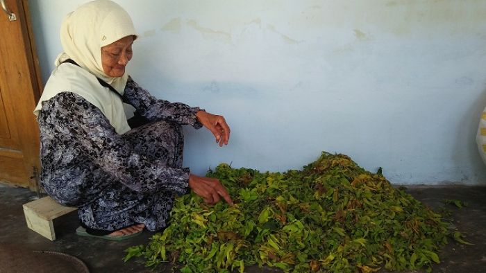 Nenek 90 Tahun Berangkat Haji dari Jualan Bunga Kenanga