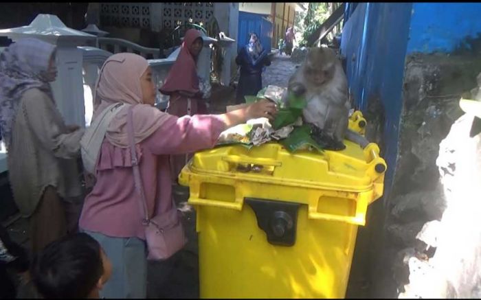 Beri Makan Monyet dan Ikan, Tradisi Sedekah Bumi Masih Lestari di Sendang Bektiharjo Tuban