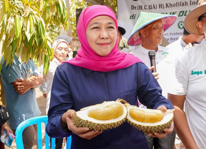 Peluang Ekspor Besar, Khofifah akan Gencarkan Penanaman Durian Premium di Jawa Timur