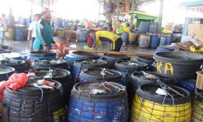 Bau Busuk Limbah Pasar Ikan Lamongan Dikeluhkan