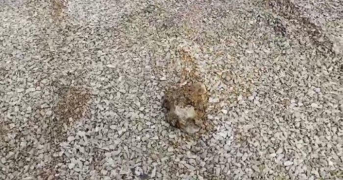 Pengeboran Sumur Air di Bangkalan Keluarkan Cairan Mudah Terbakar, Petugas Lakukan Pengamanan