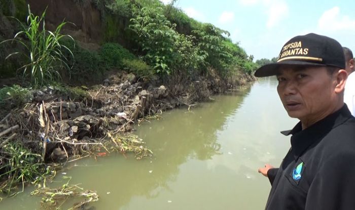 5 Desa di Jombang Terancam Tenggelam Akibat Abrasi Tanggul Brantas