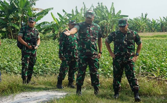 Kasdam V/Brawijaya Tinjau Lahan Swasembada Pangan di Gresik