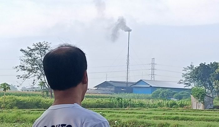 Cek Pabrik Pupuk Organik Terkait Dugaan Pencemaran Udara, DLH Kediri Segera Turunkan Tim