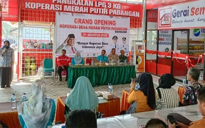Dindagkop Bojonegoro Minta Minimal Ada Satu Unit KDMP di Tiap Kecamatan Dindagkop Bojonegoro Minta Minimal Ada Satu Unit KDMP di Tiap Kecamatan
