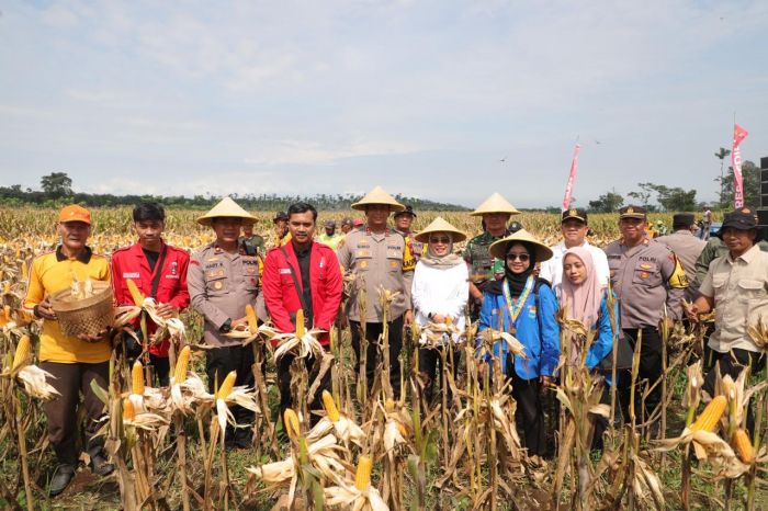 Polres Kediri Lakukan Panen Raya Perdana Jagung di KRPH Jatirejo