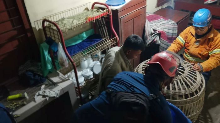 Monyet Lepas dan Serang Dua Warga Jombang, Damkar Butuh 1,5 Jam untuk Evakuasi