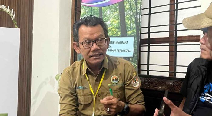 Perhutani Malang Telusuri Dugaan Komersialisasi Limbah Kayu Jati di KRPH Rejosari Perhutani Malang Telusuri Dugaan Komersialisasi Limbah Kayu Jati di KRPH Rejosari