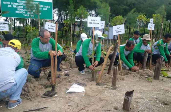 Peduli Kelestarian Lingkungan, JOB PPEJ Tanam 5.000 Pohon Mangrove di Pantai Jenu Tuban