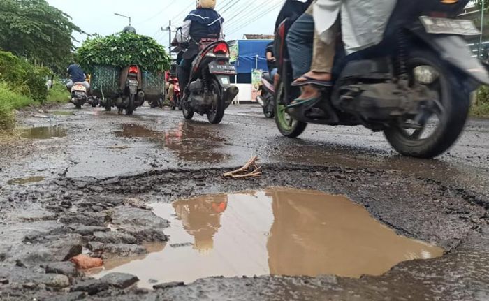 Musim Hujan, Kerusakan Jalan di Sidoarjo Semakin Banyak