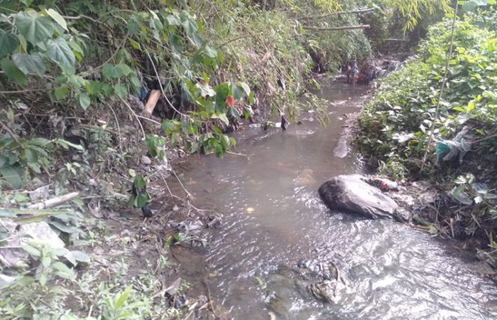 Jadi Langganan Banjir, Puluhan Hektare Sawah di Dusun Kemranggen Pasuruan Tak Ditanami Padi
