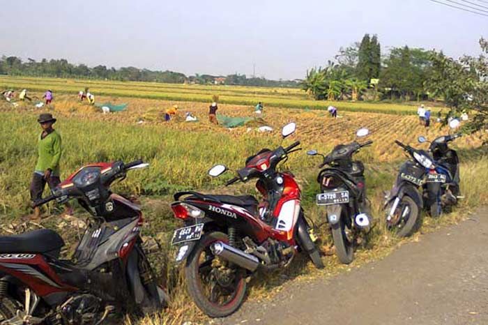 Diparkir di Pinggir Sawah, Motor Milik Jumiatun Raib