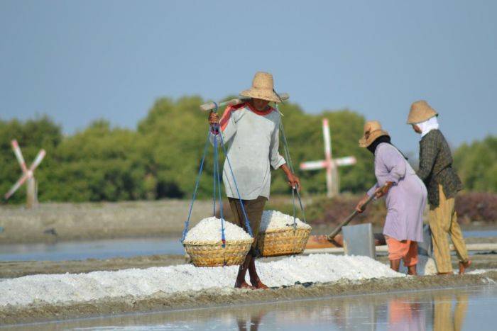 Harga Garam di Gresik Anjlok