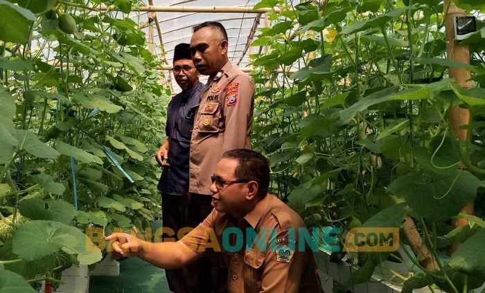 Inovasi Desa Suci: Budidaya Melon Hidroponik dalam Green House Dongkrak PADes