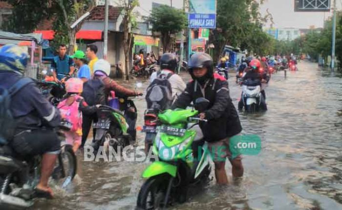 Banjir Luapan Kali Lamong dan Bengawan Solo Kepung 4 Kecamatan di Gresik