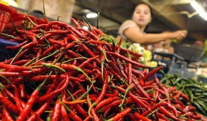 Harga Cabai di Pacitan masih Tinggi