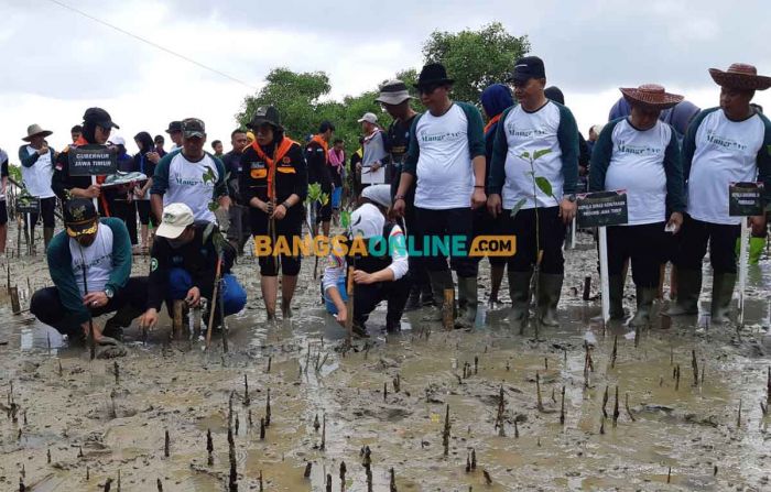 Pemprov Jatim Tanam 5.000 Bibit Mangrove di Sampang