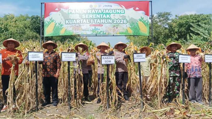 Dukung Ketahanan Pangan, Polres Ngawi Gelar Panen Raya Jagung di Geneng