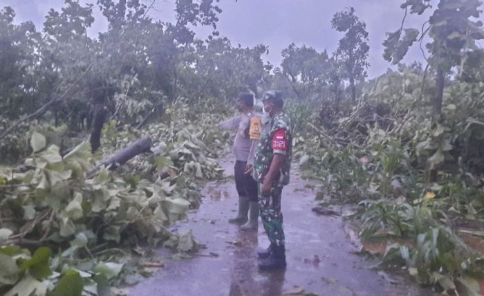 Diterjang Puting Beliung, 10 Rumah Warga di Tuban Rusak dan Puluhan Pohon Tumbang