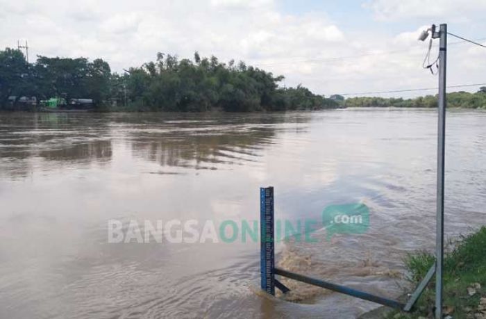 Bengawan Solo Siaga Merah, Bojonegoro Bakal Kebanjiran Lagi
