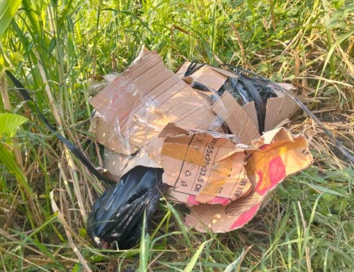 Geger Minggu Pagi! Mayat Tanpa Identitas Ditemukan Terbungkus Plastik di Semak Tepi Jalan Kedamean Geger Minggu Pagi! Mayat Tanpa Identitas Ditemukan Terbungkus Plastik di Semak Tepi Jalan Kedamean