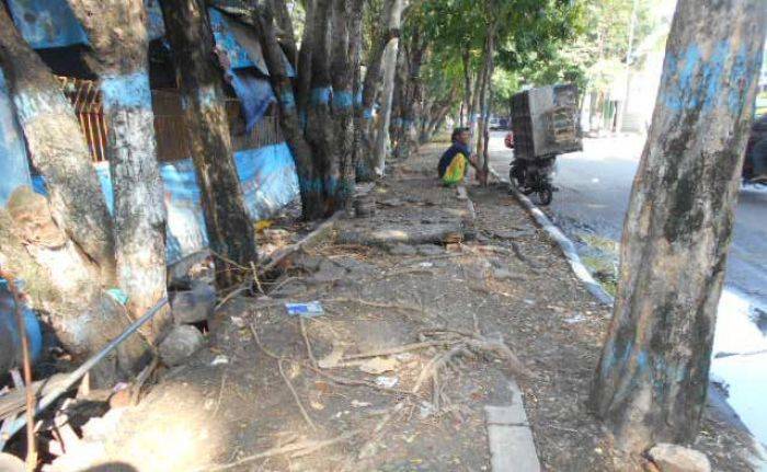 Trotoar di Lamongan Dibiarkan Rusak, Kenyamanan Pejalan Kaki Terganggu