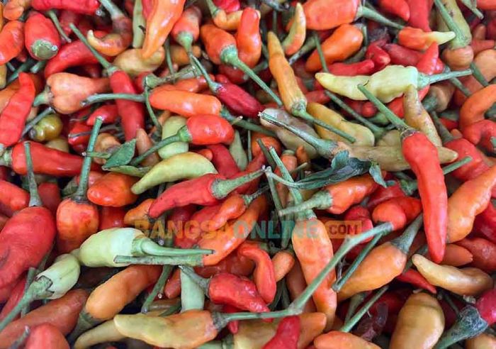 Update Daftar Harga Sembako Kota Batu Awal April 2026: Cabai Besar, Rawit, dan Keriting Naik Lagi