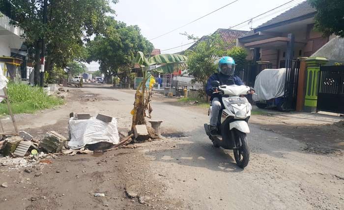 Sudah Banyak Makan Korban, Perbaikan Ruas Jalan Cangkringmalang-Gununggangsir Pasuruan Tunggu 2018