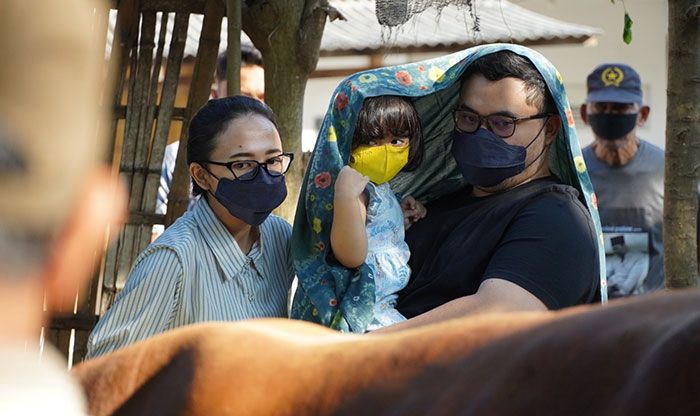 Bupati Kediri Ajak Anak Lihat Sapi Simental yang Dikurbankan saat Idul Adha 1443 H