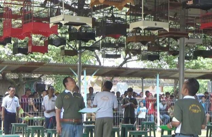 Lestarikan Populasi Burung, Kapolres Jombang Gelar Lomba