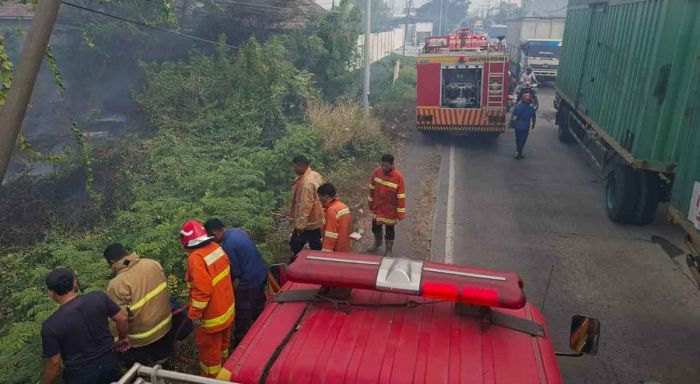 Kemarau Ekstrem, 21 Titik Kebakaran Ilalang Terjadi di Gresik dalam Sepekan Kemarau Ekstrem, 21 Titik Kebakaran Ilalang Terjadi di Gresik dalam Sepekan
