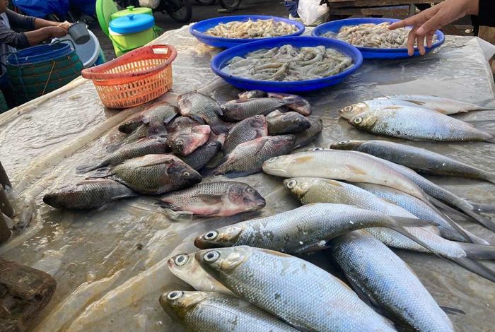 Harga Pangan Jatim Hari ini 9 Februari 2025, Daging Ayam Kampung Turun Tipis