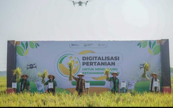 Digitalisasi Pertanian Petrokimia Gresik Mampu Tingkatkan Panen Padi Hingga 9,12 Ton per Hektare