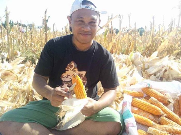 Merayakan Predikat, Mengatasi Realitas: Evaluasi Kritis “Kabupaten UMKM” Situbondo