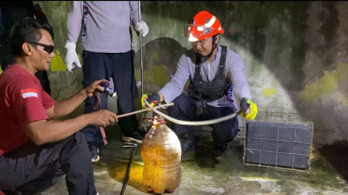 Damkar Tuban Evakuasi Ular Kobra Panjang 1 Meter yang Masuk ke Kandang Burung Milik Warga Damkar Tuban Evakuasi Ular Kobra Panjang 1 Meter yang Masuk ke Kandang Burung Milik Warga