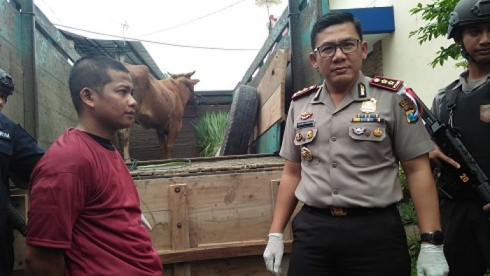 Dikejar Hutang, Warga Blitar Nekat Curi Sapi Brahman