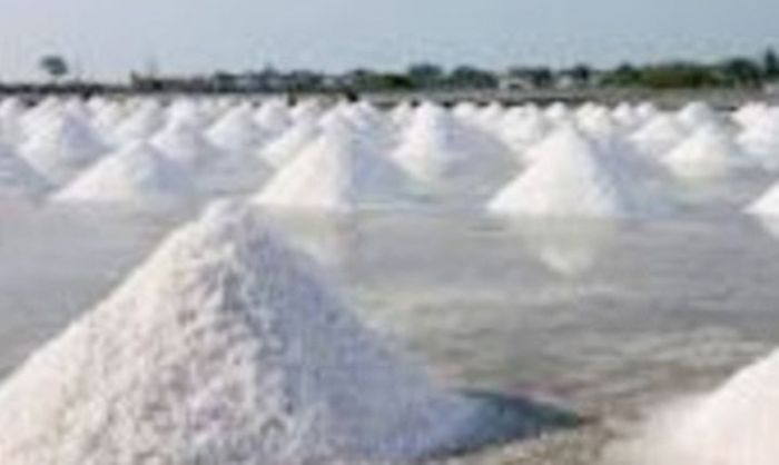 ​Gunakan SOP Pola Baru, PT Garam Berhasil Produksi 450 Ribu Ton