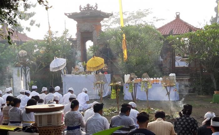 Upacara Tawur Kesangan Umat Hindu Kabupaten Kediri Tanpa Ogoh-ogoh, Dampak Corona