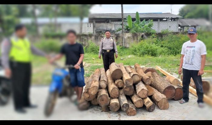 Polsek Pulung Ringkus Pelaku Illegal Logging