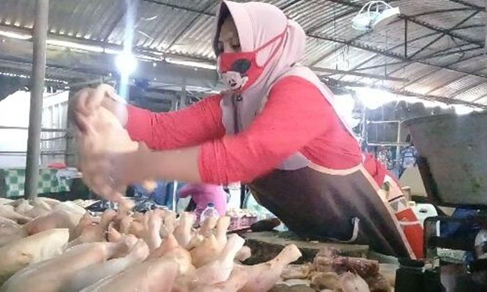 Imbas Covid-19, Harga Daging Ayam Potong di Pamekasan Turun